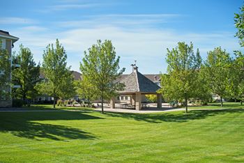 Lush green landscape